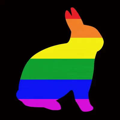 LGBQT Rabbit