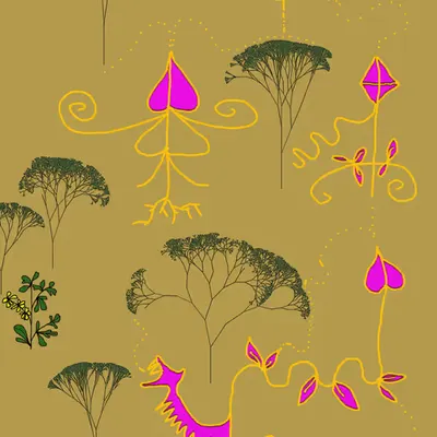 Ruta Graveolens