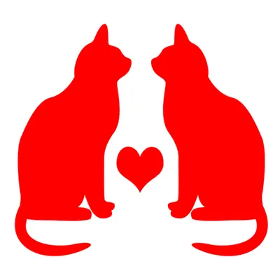 Red Cat Love