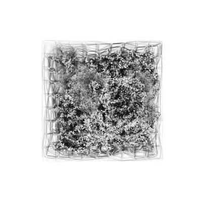 Growth 0225082147
