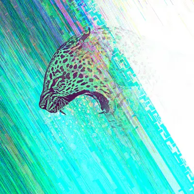 How the leopard got it's spots
