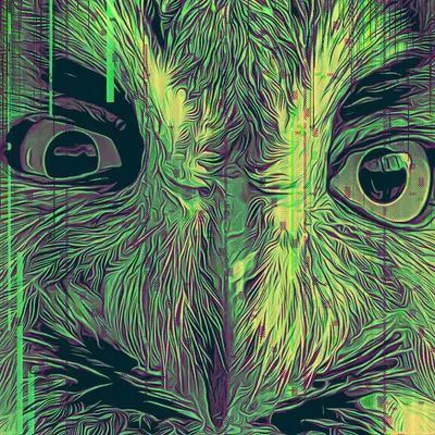 Owl glitch