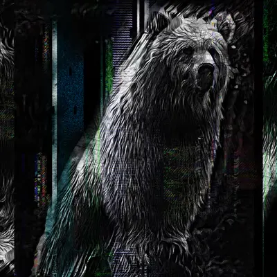 Bear Glitch