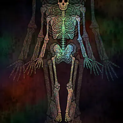 Holo-Bones
