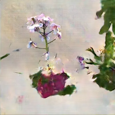 Learning Nature (b37,3092,11)