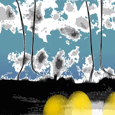 Eggs Beneath our Legs A