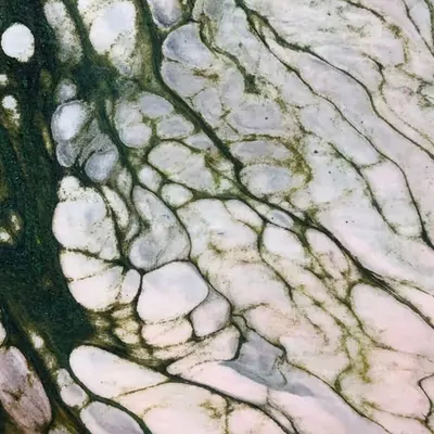 White Rock Moss #3